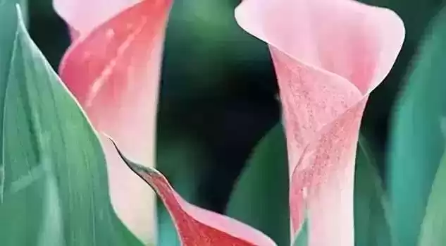 穿衣的颜色搭配