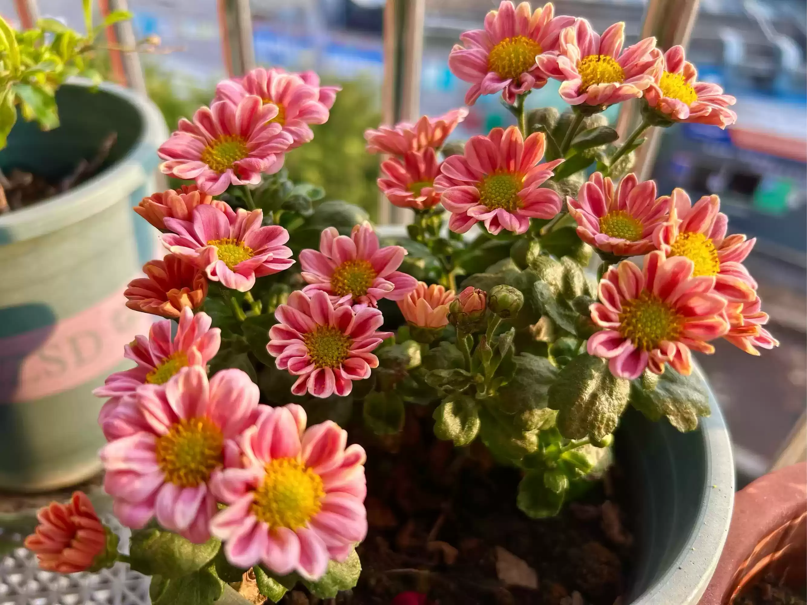 10月穿衣搭配避雷指南：11月保暖穿搭全解析