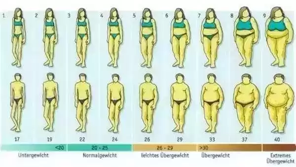 微胖女性穿搭秘籍:2大显瘦法则,轻松提升气质与魅力 微胖女性穿搭秘籍:2大显瘦法则,轻松提升气质与魅力