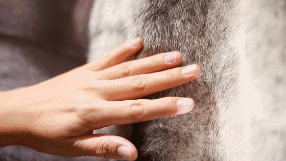 男士穿衣搭配皮草 拒绝“土大款”，男士皮草这样搭，刘昊然变贵公子，陈立农好优雅