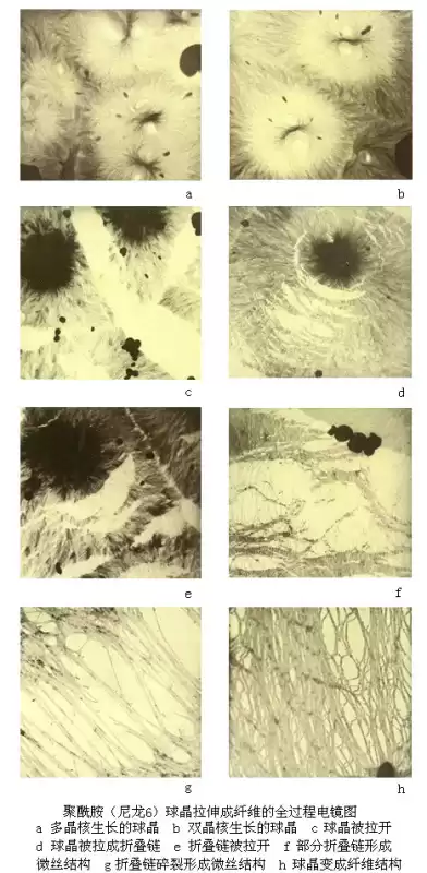 聚酰胺纤维面料全方位揭秘 从尼龙到生活好搭档