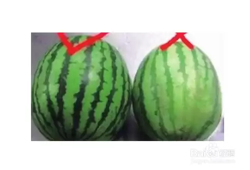 西瓜颜色大揭秘：你见过的可能只是冰山一角