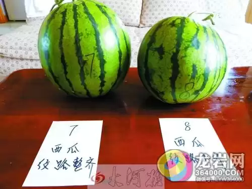 西瓜颜色大揭秘：你见过的可能只是冰山一角