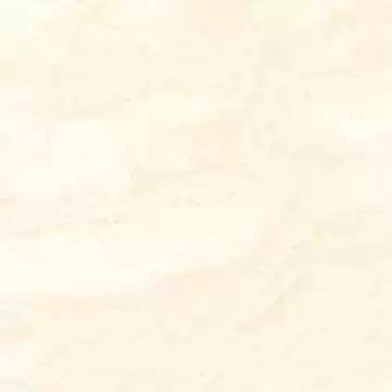 探寻米白之色:那抹比纯白更温柔的日常高级感