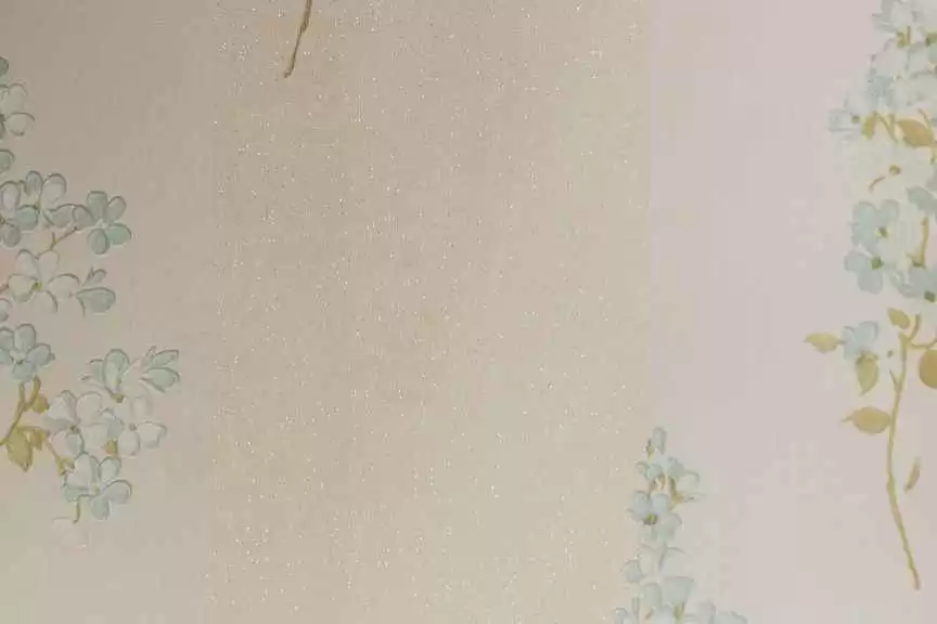 探索什么什么什么色的奥秘与实用技巧