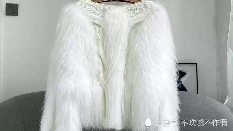 揭秘皮草到底是什么毛