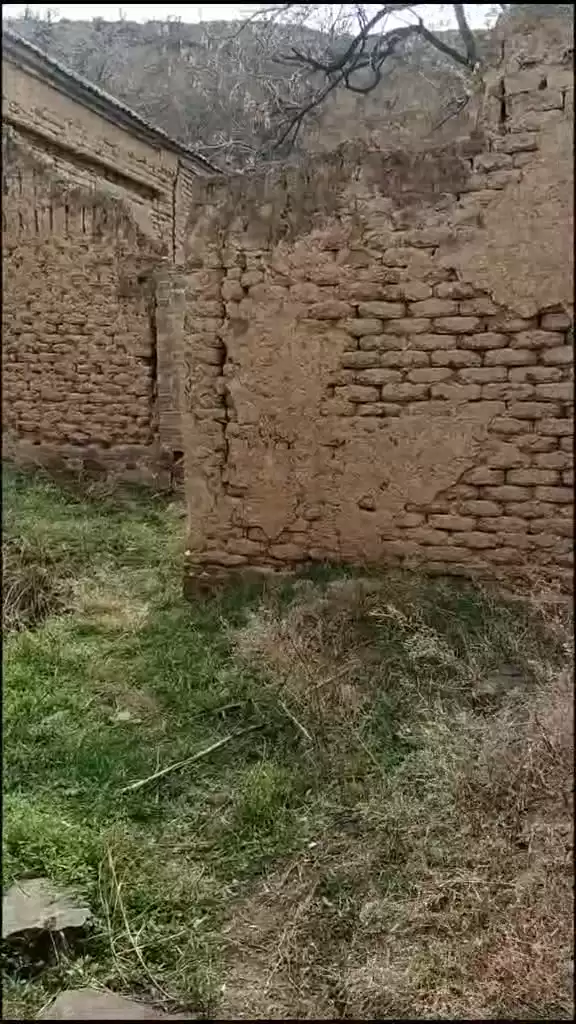 灵感总在字里行间 揭秘高手如何从搜索结果里打捞出真金