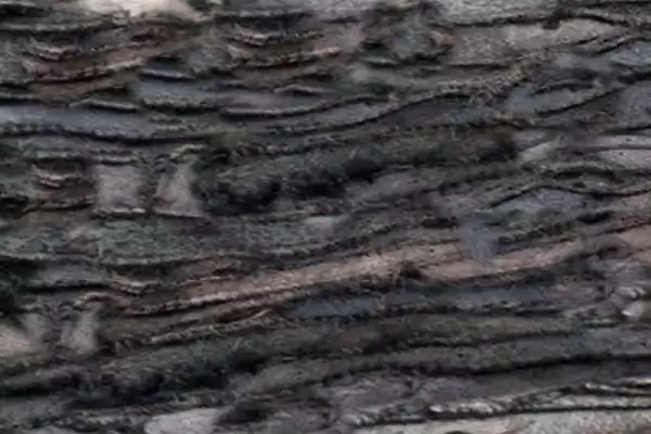 绒皮整理让你的皮具重获新生