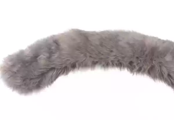 羽绒究竟来自啥动物毛绒绒的秘密